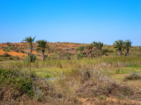 Scenery along Highway RN9 heading north out of Toliara, Madagascar