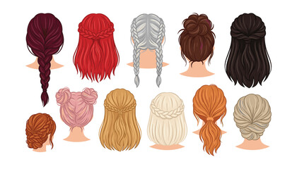Women hairstyle vector set with back view of braided hair buns ponytail and different hair colors