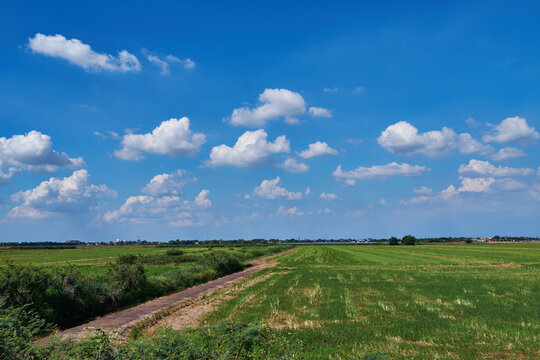 The sky with rice fields and dirt roads, the tranquility of nature.