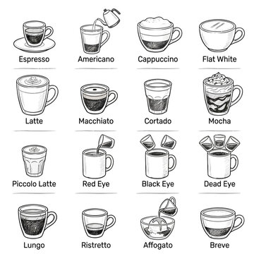 Coffee Drink Types Illustration: Espresso, Latte, Cappuccino, Mocha, Affogato & More