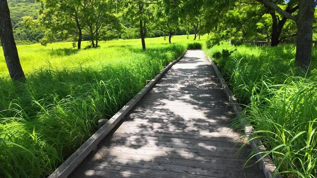 夏のタデ原湿原