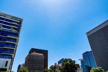 Obraz premium Buildings in Downtown San Diego, CA on a summer day