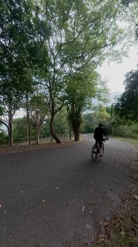 Cyclist Riding on a Scenic Forest Road