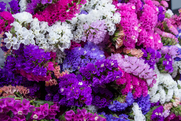 Obraz premium Collection of fresh statice flower bouquets in vibrant shades of purple, pink, lavender, peach, and white photographed during a professional floral production session. The images highlight the rich te