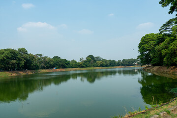 Obraz premium Tranquil green lake reflecting the surrounding trees under a blue sky