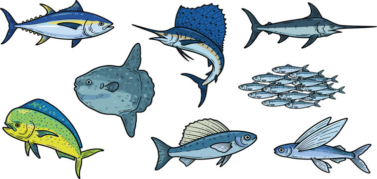 Vintage Open Ocean Pelagic Fish Icon Set Featuring Tuna, Sailfish, Swordfish, Ocean Sunfish, Mahi Mahi, School of Sardines, and Flying Fish