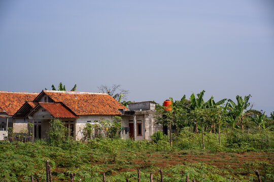 Rural village house with an orange tile roof surrounded by farm fields