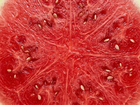 Macro close-up of fresh red watermelon flesh with seeds and texture