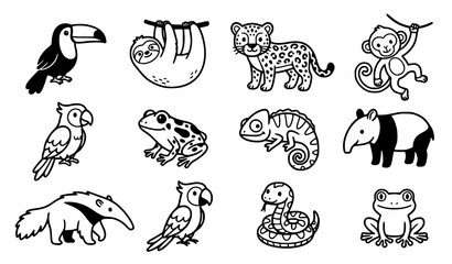 Obraz premium Cute Rainforest Animal Icon Set Collection of Toucan Sloth Jaguar Monkey Frog and Chameleon Vector Illustration