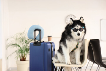 Siberian husky dog wearing sunglasses sitting on a chair next to a blue suitcase and neck pillow travel and vacation, a blue suitcase with a neck pillow and a coffee cup are nearby © Pixel-Shot