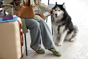 Person with husky dog and luggage, travel and pet friendly concept, airport or hotel lobby, vacation planning © Pixel-Shot