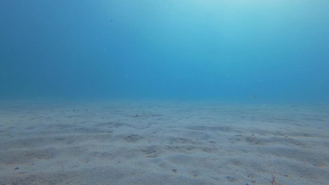 sandy seafloor