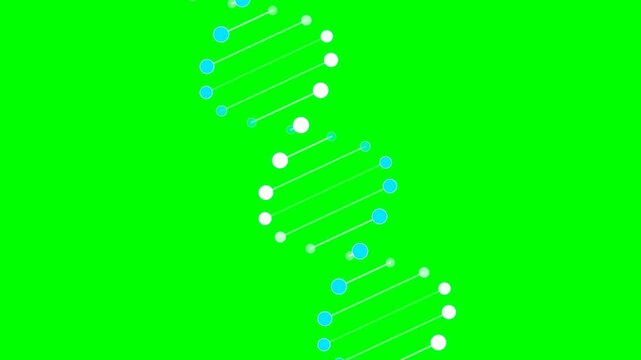 Rotating DNA Double Helix Molecule Animation on Chroma Key Green Screen Background for Science and Biotechnology Education