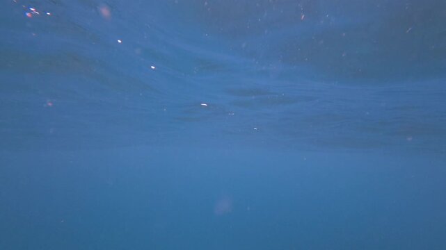 underwater view of oceans surface