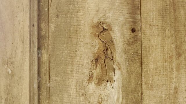 Old Teak Wood Texture
