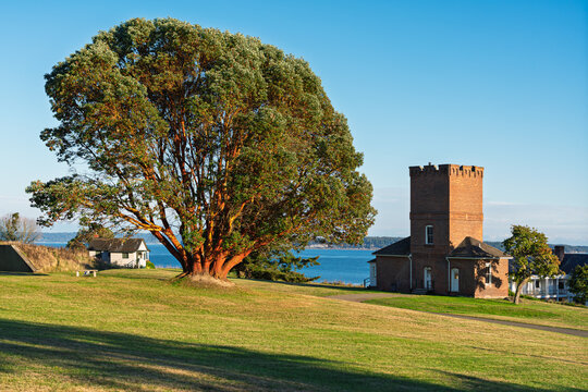 Sunset Glow on Fort Worden: The Historic Castle and Ancient Madrona Tree in Port Townsend