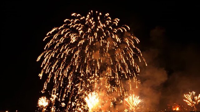 Golden fireworks exploding in night sky