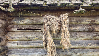 Raw Wool Hanging on Rustic Log Cabin © vytautas