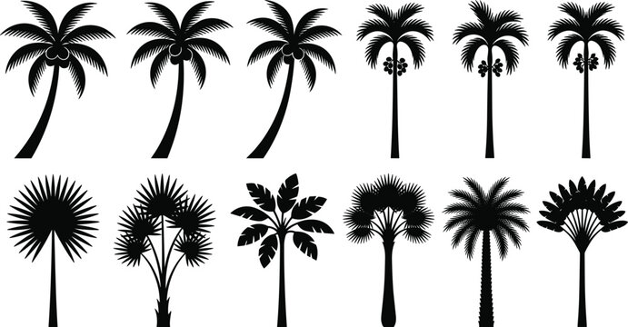 Tropical Palm Trees Silhouette Vector Set with Coconut Palms Travelers Palm and Exotic Botanical Leaves for Summer Travel Holiday Graphic Design