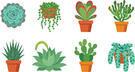 Fototapeta premium Potted succulent and cactus plants vector collection featuring various green houseplant icons and botanical elements