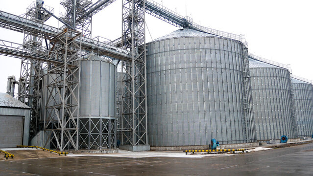 Large industrial grain storage silos at an agricultural elevator facility. Modern grain handling infrastructure for harvesting, storage, logistics, and food supply chain in the agricultural industry.