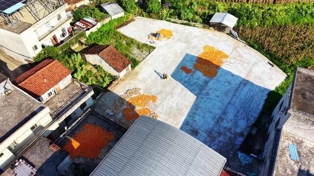 Cinematic aerial: Farmers turning and raking corn kernels on village concrete ground under bright autumn sun