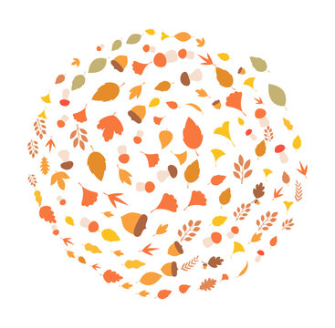 Warm circular composition of scattered flat autumn leaves, mushrooms, acorns and berries arranged into a circle