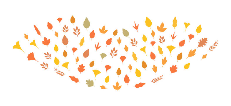 Warm composition of scattered flat autumn leaves