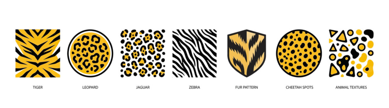 Animal Print Patterns Collection