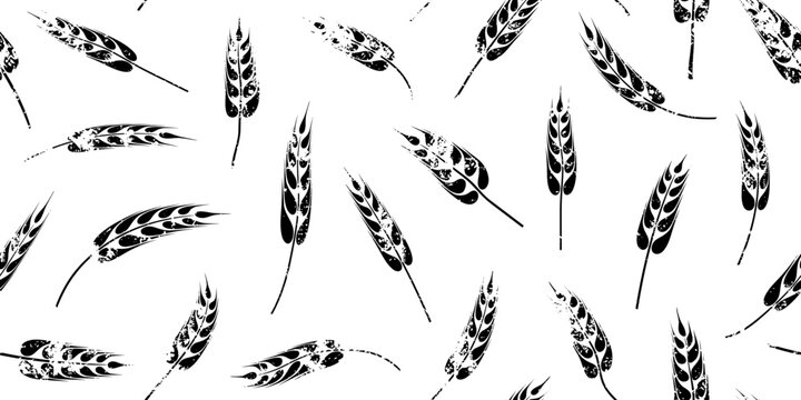 Seamless pattern of wheat ears, rye or barley, agriculture and harvest, black isolated silhouette on white background, vector print