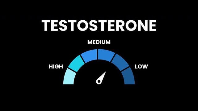 Animation testosterone level indicator gauge suitable for medical presentations, fitness infographics, hormonerelated articles, health blogs, and educational publications.