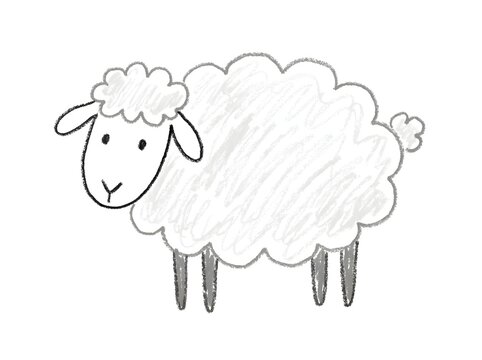 Simple hand drawn sheep illustration in crayon style