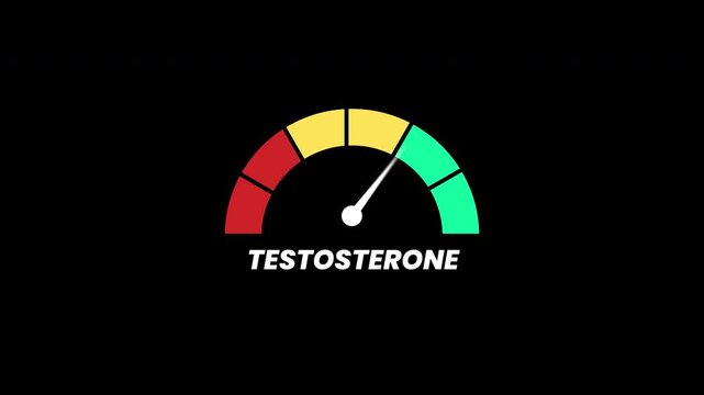 Animation testosterone level indicator icon for health status measurement, suitable for medical websites, educational materials, and fitness apps visualization.