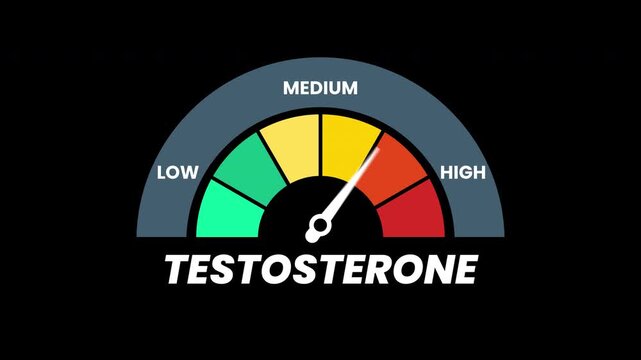 Animation testosterone level level gauge meter for visuals of health, hormone levels, mens health, performance enhancement, medical presentations, and wellness content.