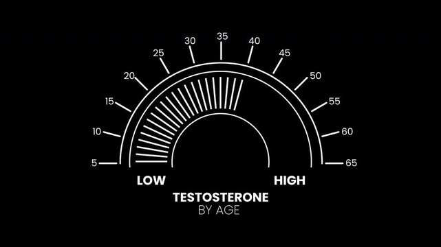 Animation testosterone level age chart for medical data and measurement scale. Ideal for healthcare publications, educational materials, and medical presentations.