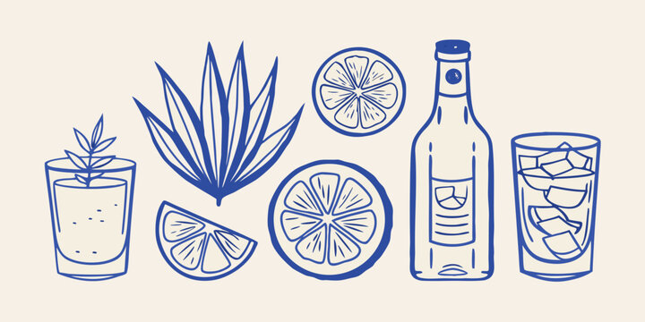 Tequila Citrus And Agave Plant Blue Line Illustration