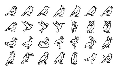 Bird Species Line Art Icon Collection Minimal Black Outline Editable Vector Set © Icon Zone