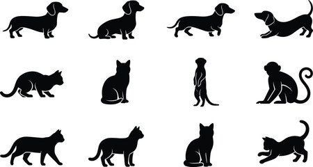 Fototapeta premium Vector illustration set of black animal silhouettes featuring dachshund dogs domestic cats playing kittens a meerkat and monkey isolated on flat white background