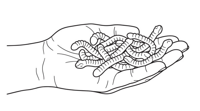 Handful of Earthworms, detailed black and white vector illustration. Fishing bait, garden compost, and soil health concept art. Natural organic farming and ecological design element.