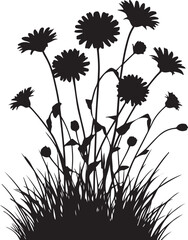Obraz premium A silhouette of a group of daisy flowers with long stems and thick grass