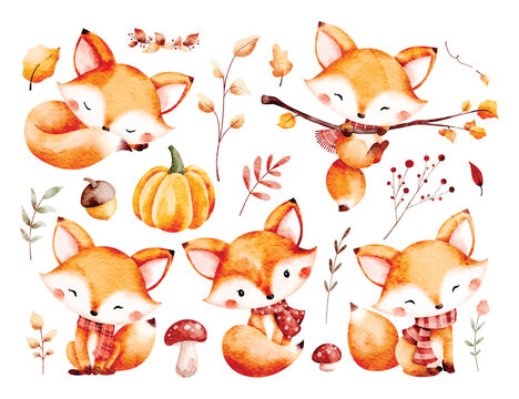 Watercolor Illustration Set of Cute Fox and Autumn Leaves