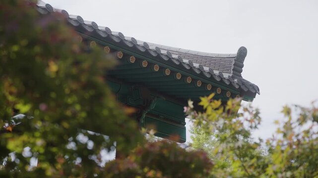 Traditional Dancheong-style Korean Roof surrounded by nature