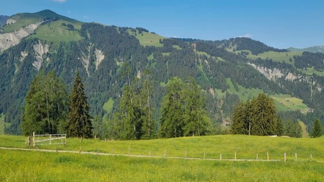 Panoramic view of the Swiss Alps near Lenk on a sunny summer day, with vibrant alpine meadows, majestic mountain scenery, and crystal-clear skies. A peaceful hiking destination in natural beauty