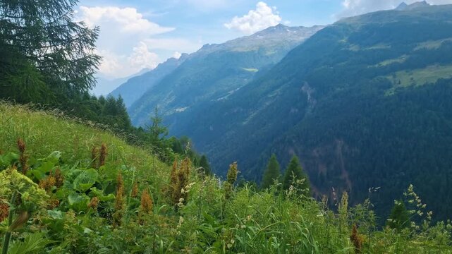 Nature view on the Italian side of Spl&uuml;gen Pass (Passo dello Spluga), overlooking the scenic Val San Giacomo valley in Lombardy. A breathtaking Alpine landscape with rugged mountains and green meadows