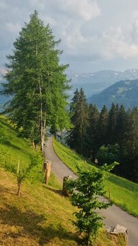 Vertical panorama of the Swiss Alps in summer, with rocky peaks rising above lush green meadows under an overcast sky. A pristine mountain wilderness showcasing natural beauty of Switzerland