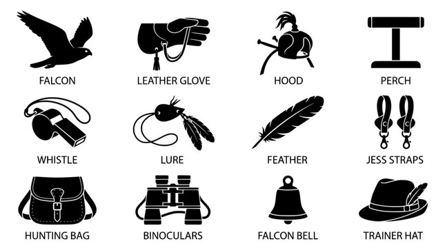 Falconry Equipment Icons Set Falcon Leather Glove Hood Perch Whistle Lure Feather Jess Straps PNG Isolated on transparent background