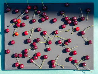 Fresh Red Cherries Scattered on Black Background, Flat Lay Summer Fruit Composition © Gunars