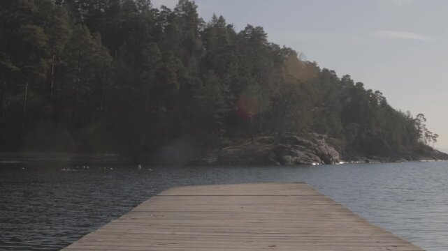Centered boardwalk perspective extends toward a dense forest over calm water