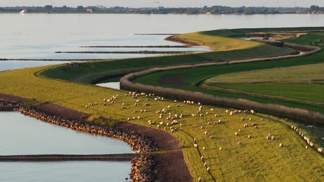 Aerial view of Stavoren harbour waterfront in Friesland, the Netherlands, showing the marina, boats and historic waterside scenery in warm golden hour light.