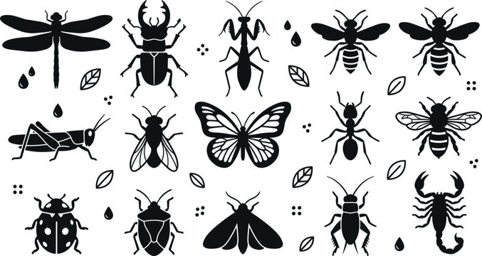 Insect Silhouette Vector Set featuring Butterfly, Dragonfly, Honey Bee, Stag Beetle, Praying Mantis, and Scorpion Symbols for Biology Education and Pest Control Layouts